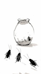 碗中三只小虫