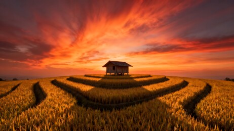 梯田日落中的小屋