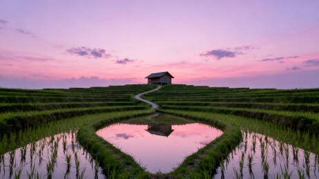 梯田日落小屋倒影