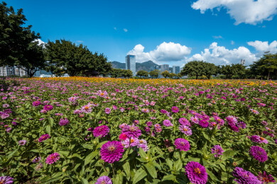 中国福建省福州市花海公园