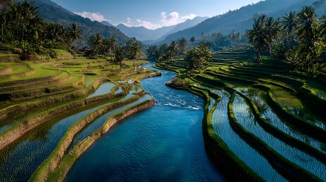 梯田河流山谷风光