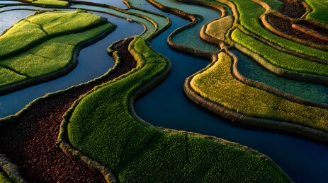 梯田稻田航拍美景