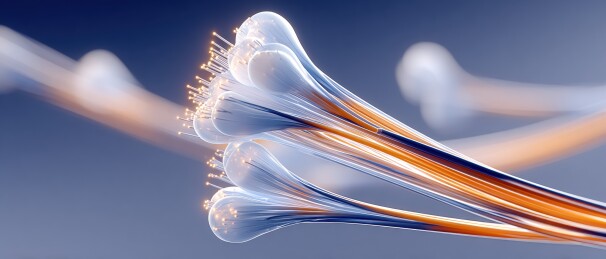 神经元突触连接的微观视图