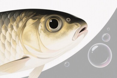 卡通风格鱼插画