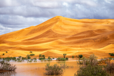 摩洛哥撒哈拉沙漠雨季风光