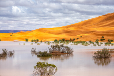 摩洛哥撒哈拉沙漠雨季风光