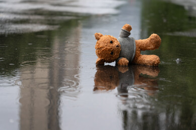 雨中被遗弃的玩偶小熊