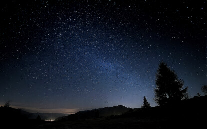 繁星点点的夜空与树木剪影
