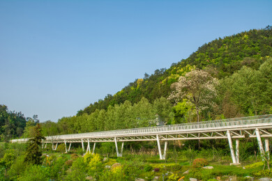 浙江杭州临安青山湖畔的山间高架绿道