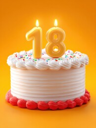 18岁生日蛋糕画面