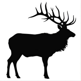 雄鹿侧面黑色剪影图