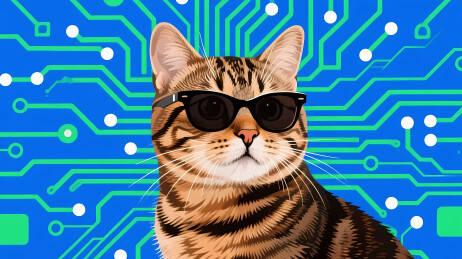 科技感虎斑猫