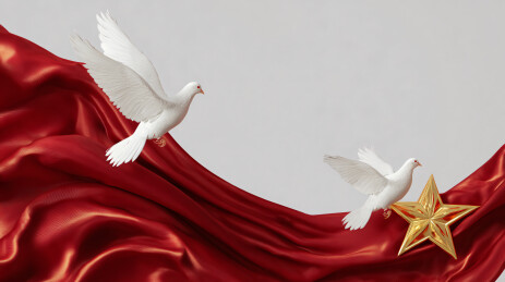红绸白鸽装饰图