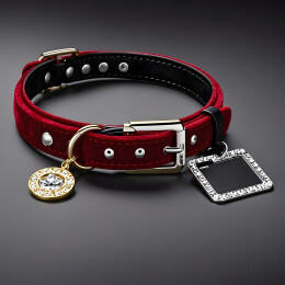 宠物项圈精美摆拍呈现时尚造型