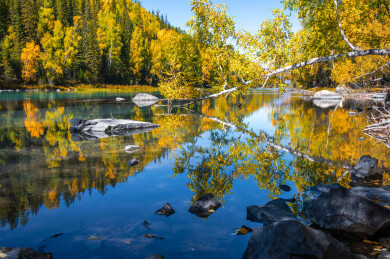中国新疆阿勒泰喀纳斯月亮湾到卧龙湾沿途风光