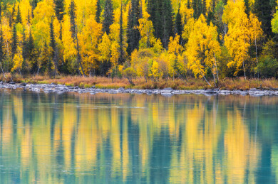 中国新疆阿勒泰喀纳斯神仙湾到月亮湾沿途风光