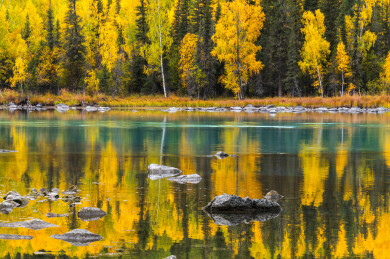 中国新疆阿勒泰喀纳斯神仙湾到月亮湾沿途风光
