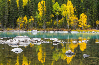 中国新疆阿勒泰喀纳斯神仙湾到月亮湾沿途风光