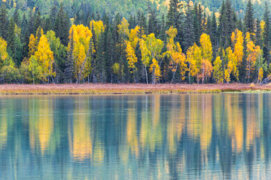中国新疆阿勒泰喀纳斯神仙湾到月亮湾沿途风光