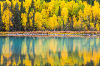 中国新疆阿勒泰喀纳斯神仙湾到月亮湾沿途风光