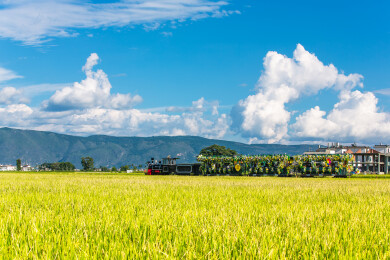 中国云南省大理市喜洲古镇乡间田园风光