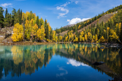 中国新疆阿勒泰喀纳斯月亮湾到卧龙湾沿途