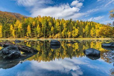 中国新疆阿勒泰喀纳斯月亮湾到卧龙湾沿途