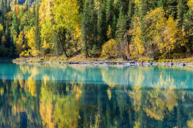 中国新疆阿勒泰喀纳斯月亮湾到卧龙湾沿途