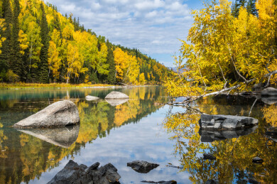 中国新疆阿勒泰喀纳斯月亮湾到卧龙湾沿途