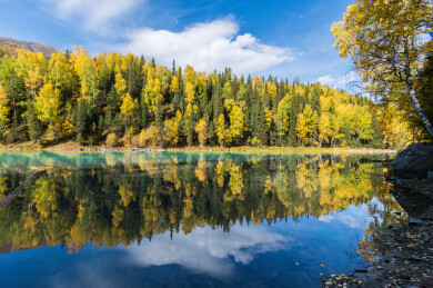 中国新疆阿勒泰喀纳斯月亮湾到卧龙湾沿途