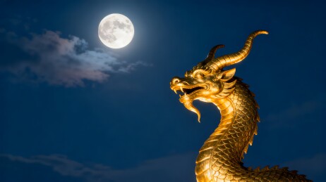 金色龙首仰望满月夜空