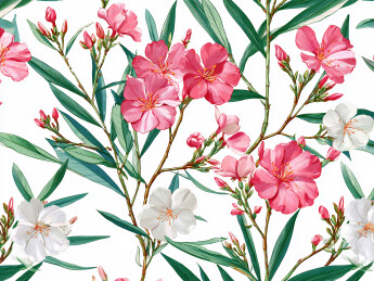 红色夹竹桃花植物水彩无缝图案纹理