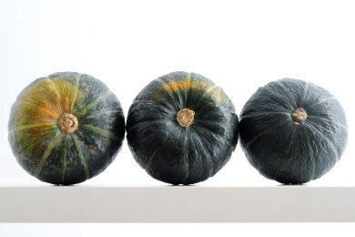 白色桌面上堆放着秋天蔬菜瓜果南瓜贝贝南瓜