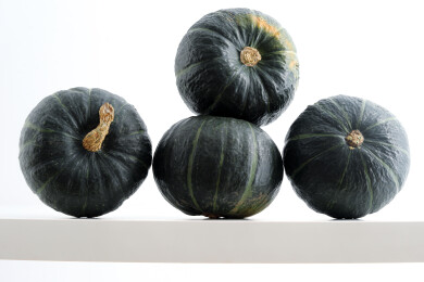 白色桌面上堆放着秋天蔬菜瓜果南瓜贝贝南瓜