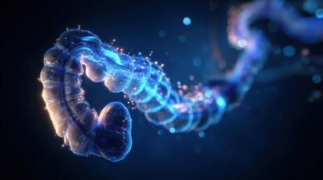 发光的蠕虫状生物在黑暗中蜿蜒