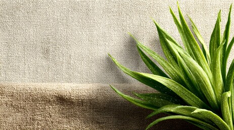 植物与亚麻壁纸