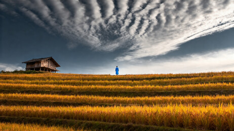 梯田农舍云天人影