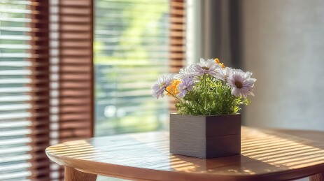 窗边木质桌上摆放着一盆白色小花的装饰