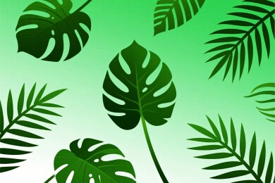 热带叶片插画背景