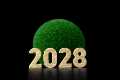 金色2028数字与绿色毛绒球静物摄影高