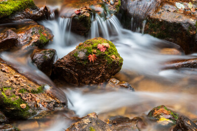 中国辽宁丹东天桥沟秋季风光