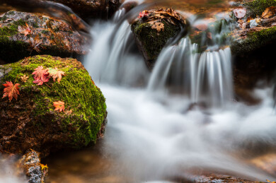 中国辽宁丹东天桥沟秋季风光