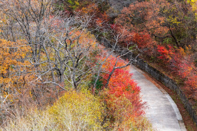 中国辽宁丹东天桥沟秋季风光
