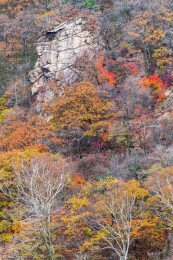 中国辽宁丹东天桥沟秋季风光