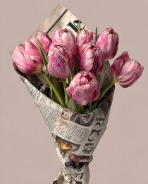 报纸包裹的粉色郁金香花束
