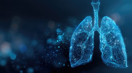 用于呼吸健康和医疗技术的数字肺解剖图