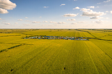 黑龙江省嫩江市秋季丰收金色农田航拍