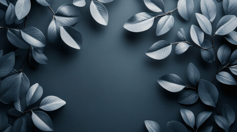 灰色背景上散落的叶子。