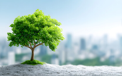 城市郊外一棵大树