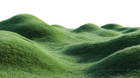 起伏的绿色草地景观